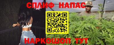 крисы Краснознаменск