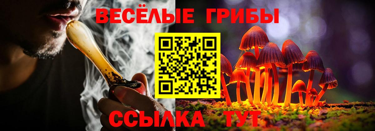 Каменск-Уральский  Псилоцибиновые грибы ЛСД  Псилоцибиновые грибы Magic Shrooms  Вход с VPN 